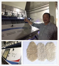 滁州为民米厂 当人工智能遇见稻米之香